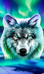 Wolf Fang - Northern Spirits